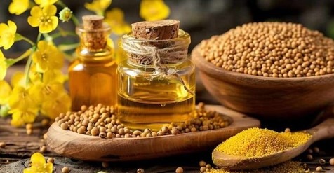 পুরুষাঙ্গে সরিষার তেল ব্যবহারের অপকারিতা