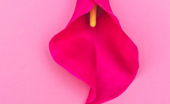 Leggings murabbiy porno tomosha