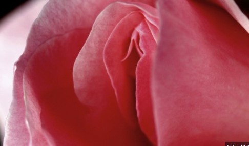 Oriq, xunuk ayollarning seks videolari